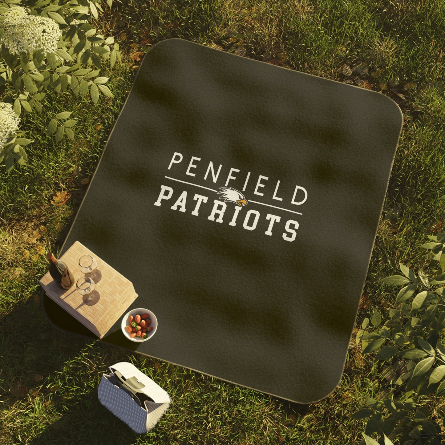 Patriots Stadium or Picnic Blanket
