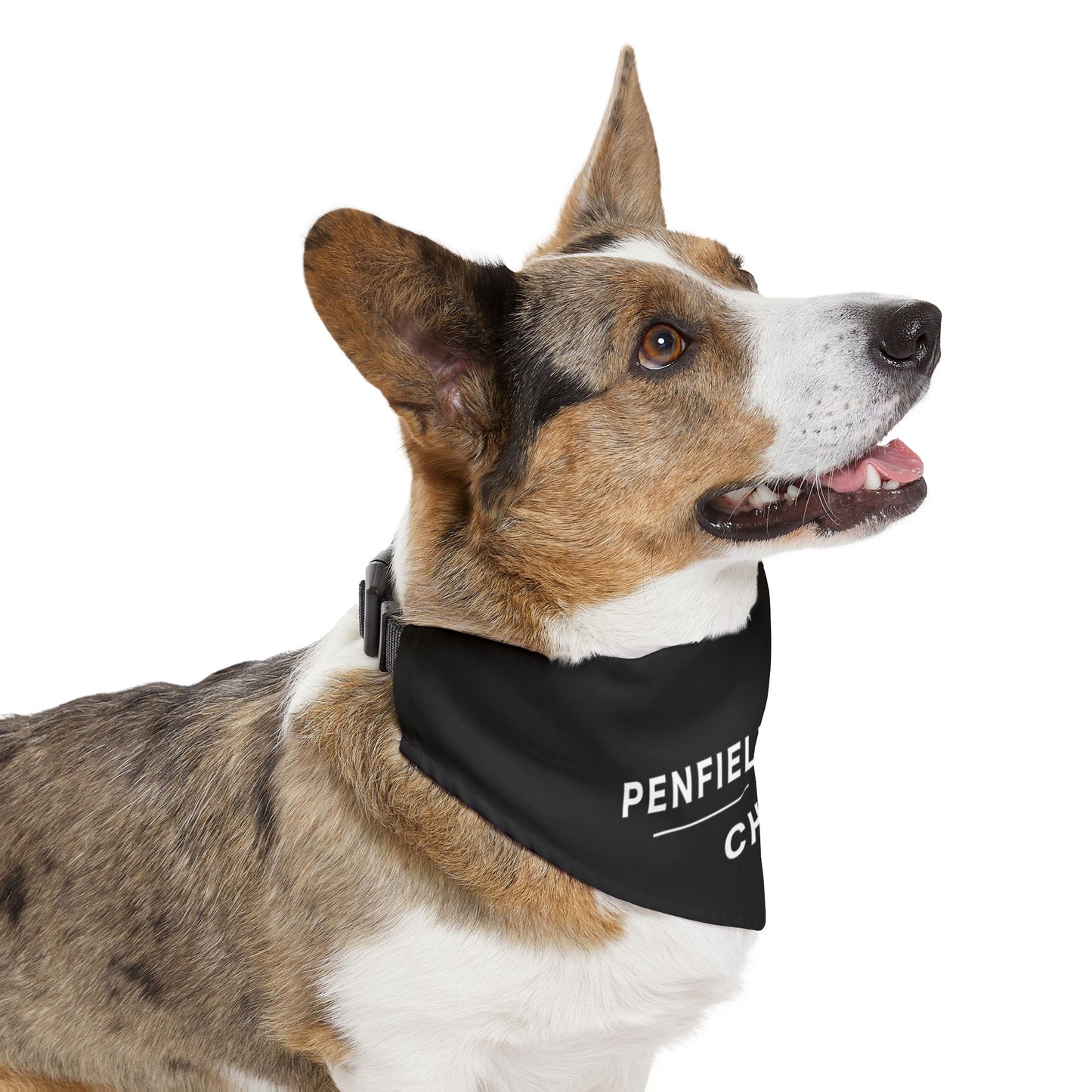 Cheer Pet Bandana Collar