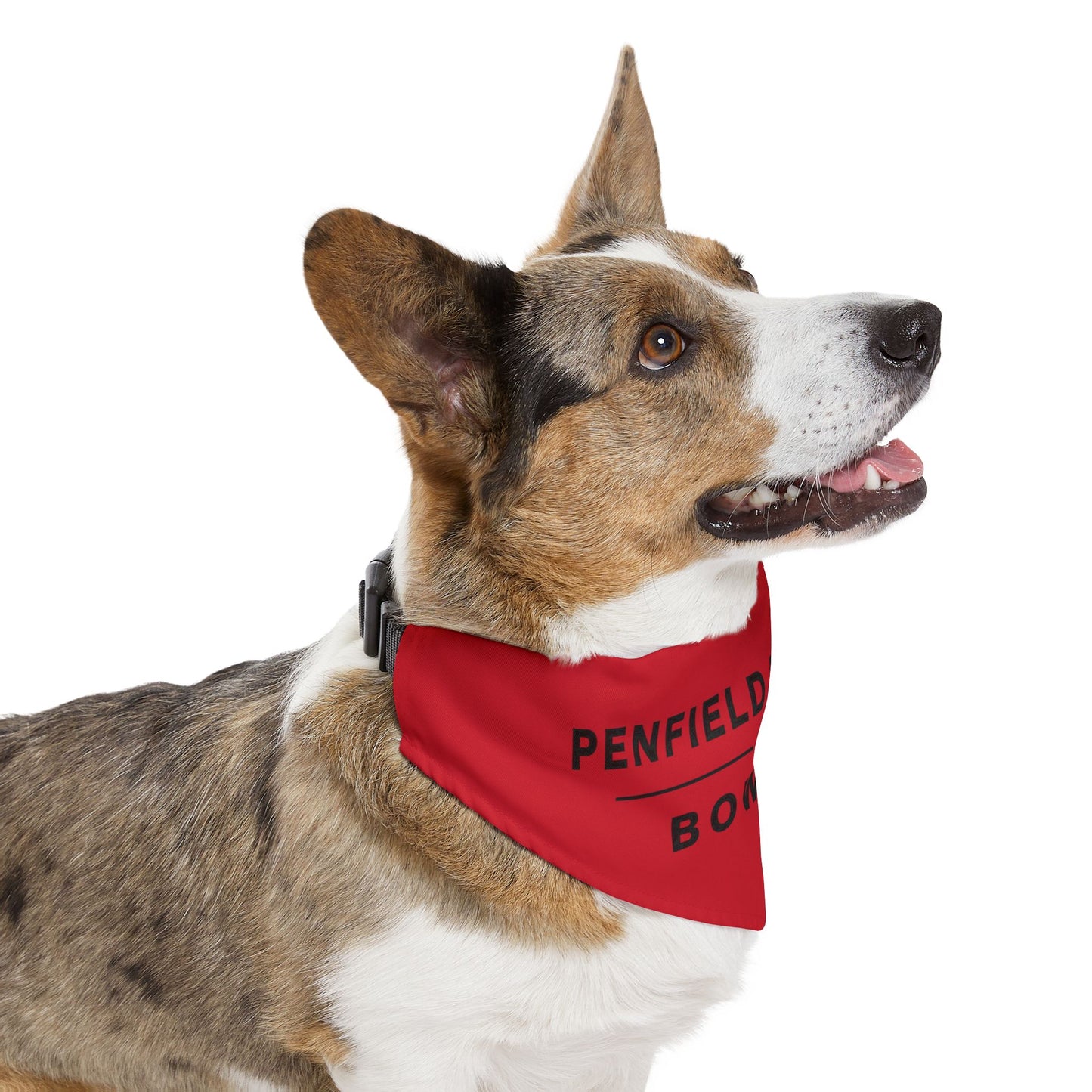 Bowling Pet Bandana Collar