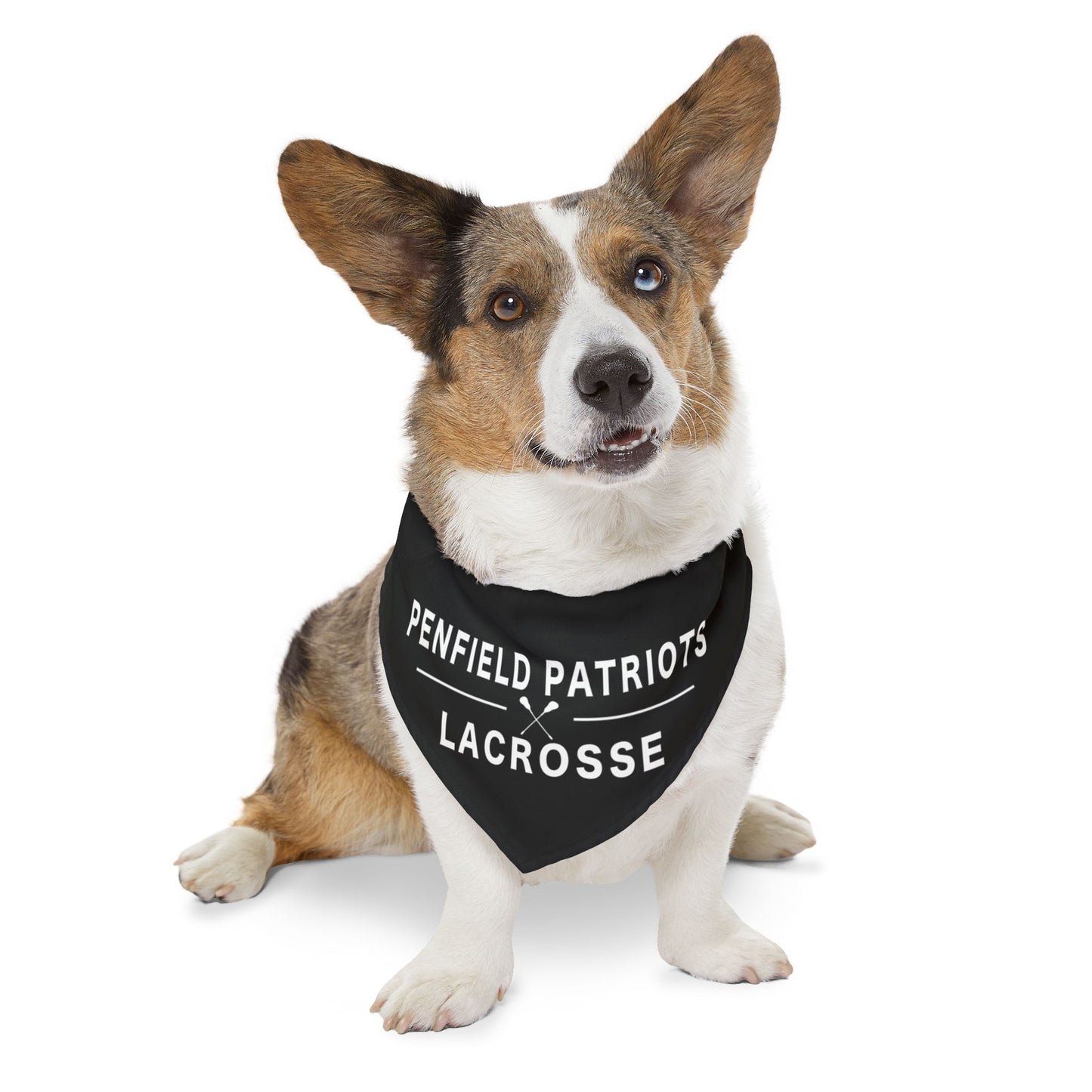 Lacrosse Pet Bandana Collar