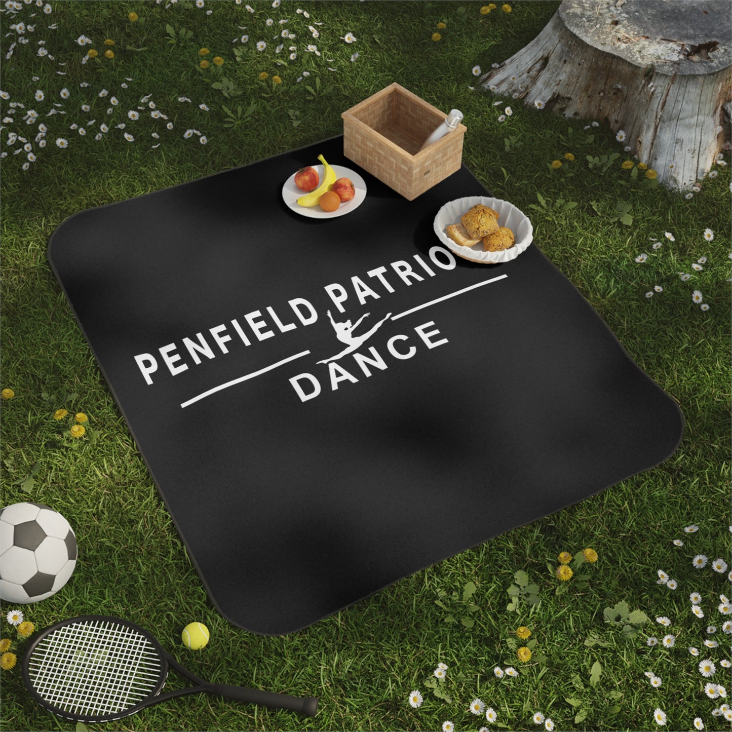 Dance Stadium Blanket