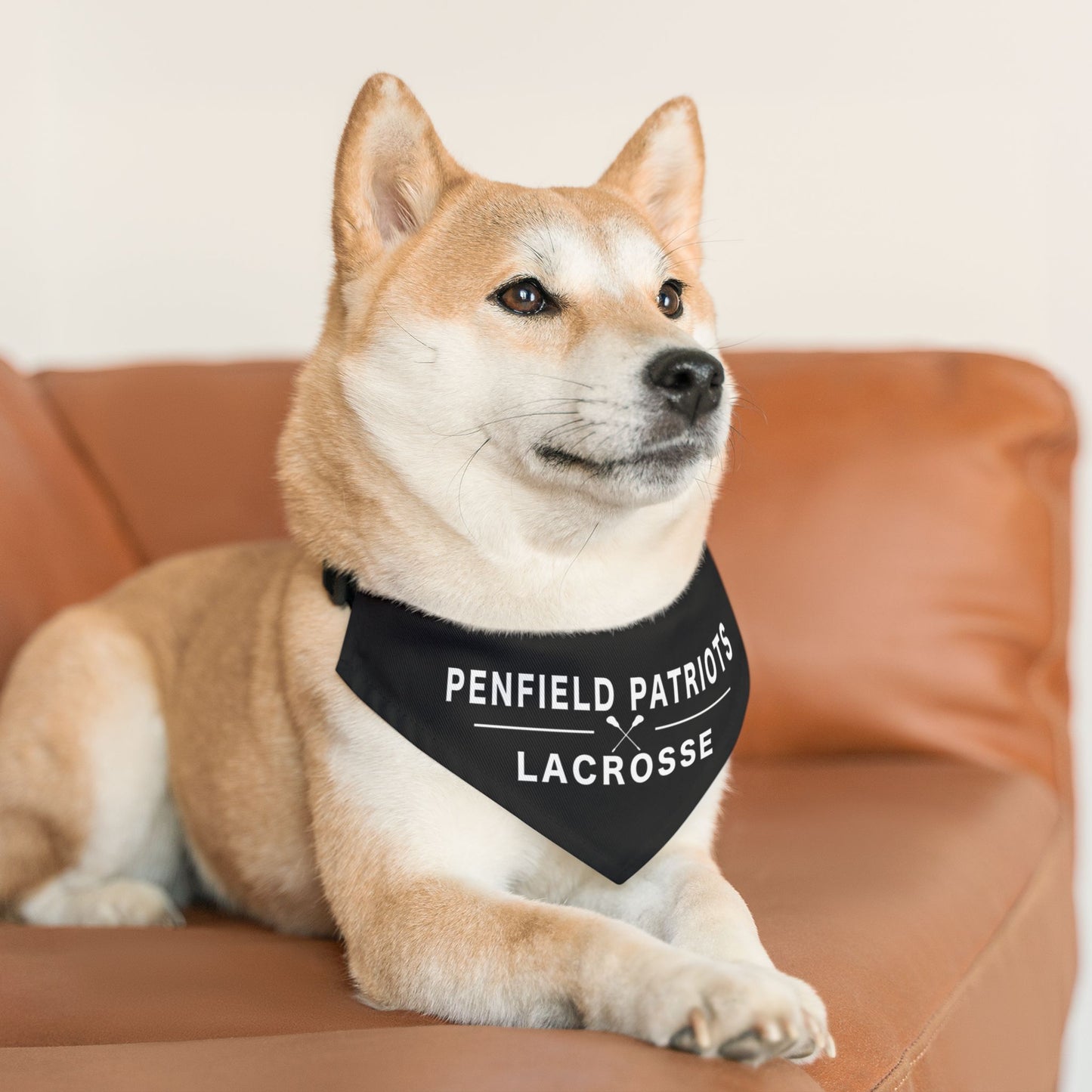 Lacrosse Pet Bandana Collar
