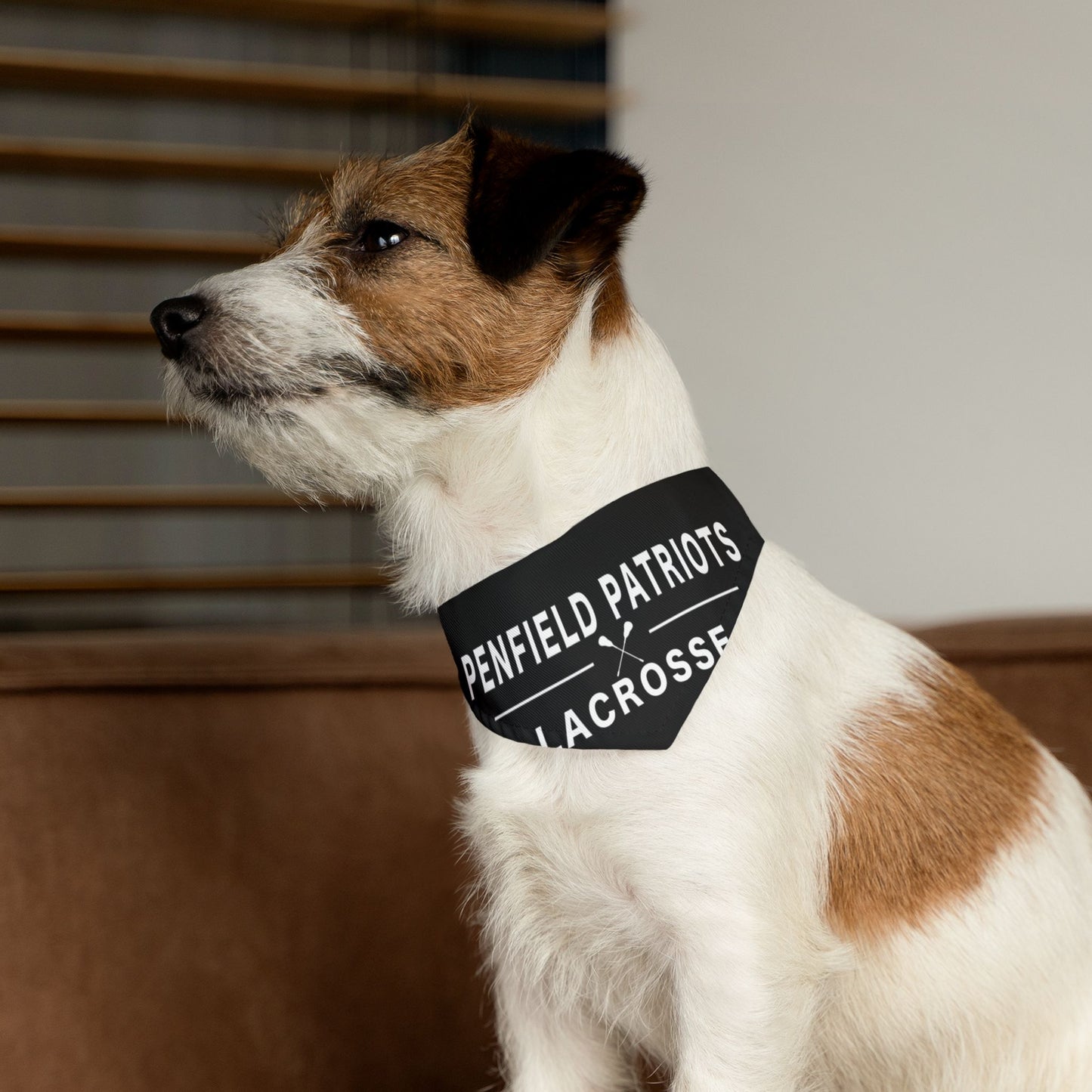 Lacrosse Pet Bandana Collar