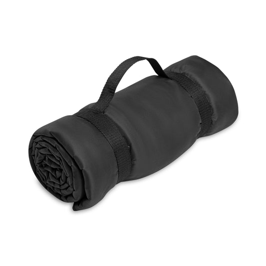 Patriots Stadium or Picnic Blanket