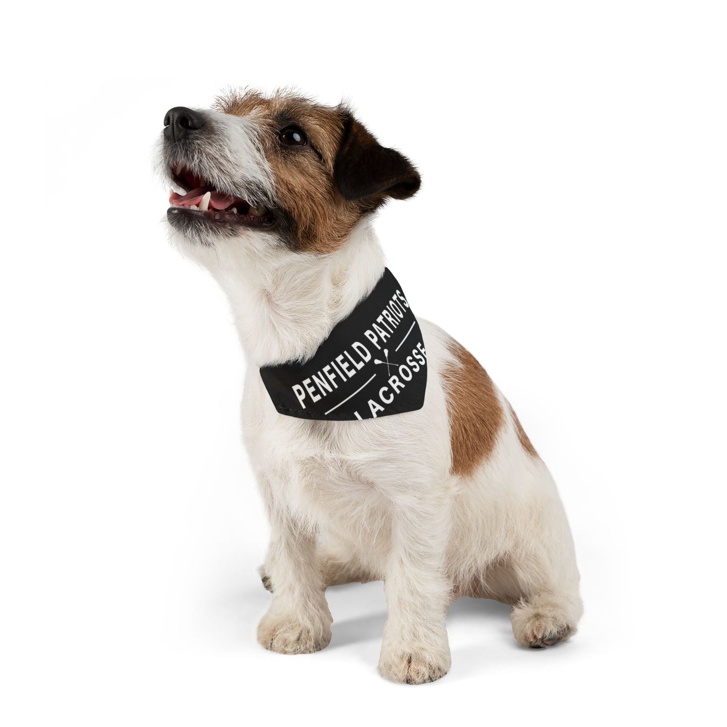 Lacrosse Pet Bandana Collar