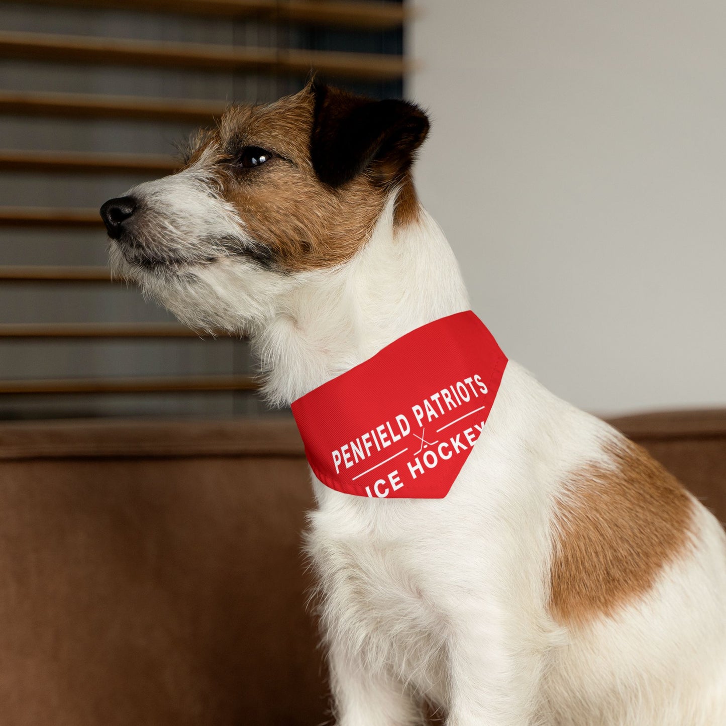 Ice Hockey Pet Bandana Collar