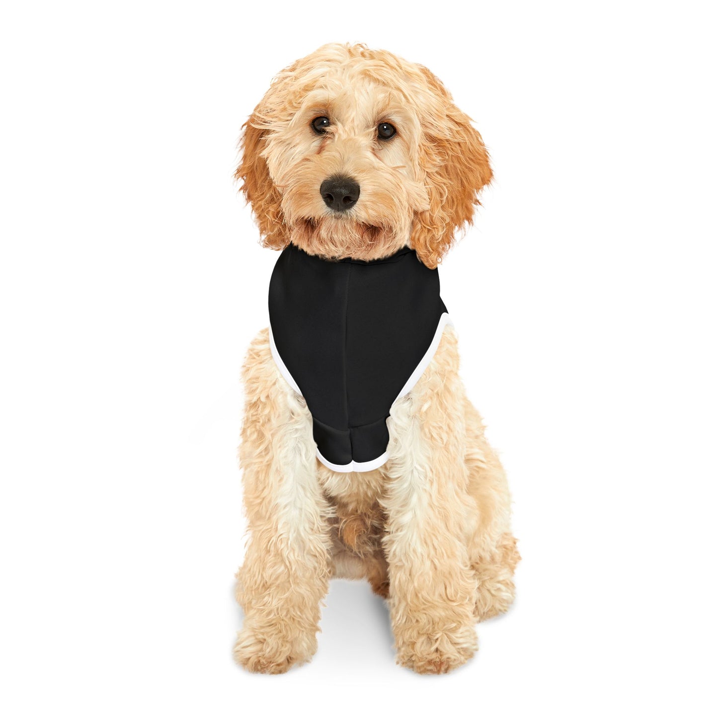 Patriots Pet Hoodie