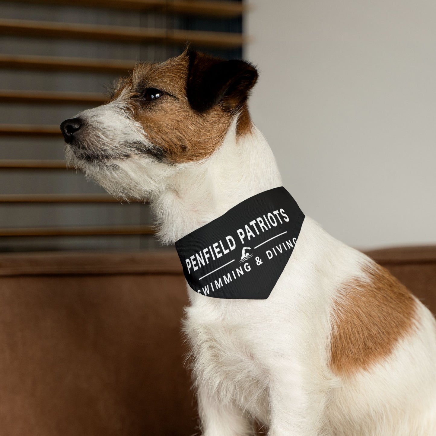Swim and Dive Pet Bandana Collar