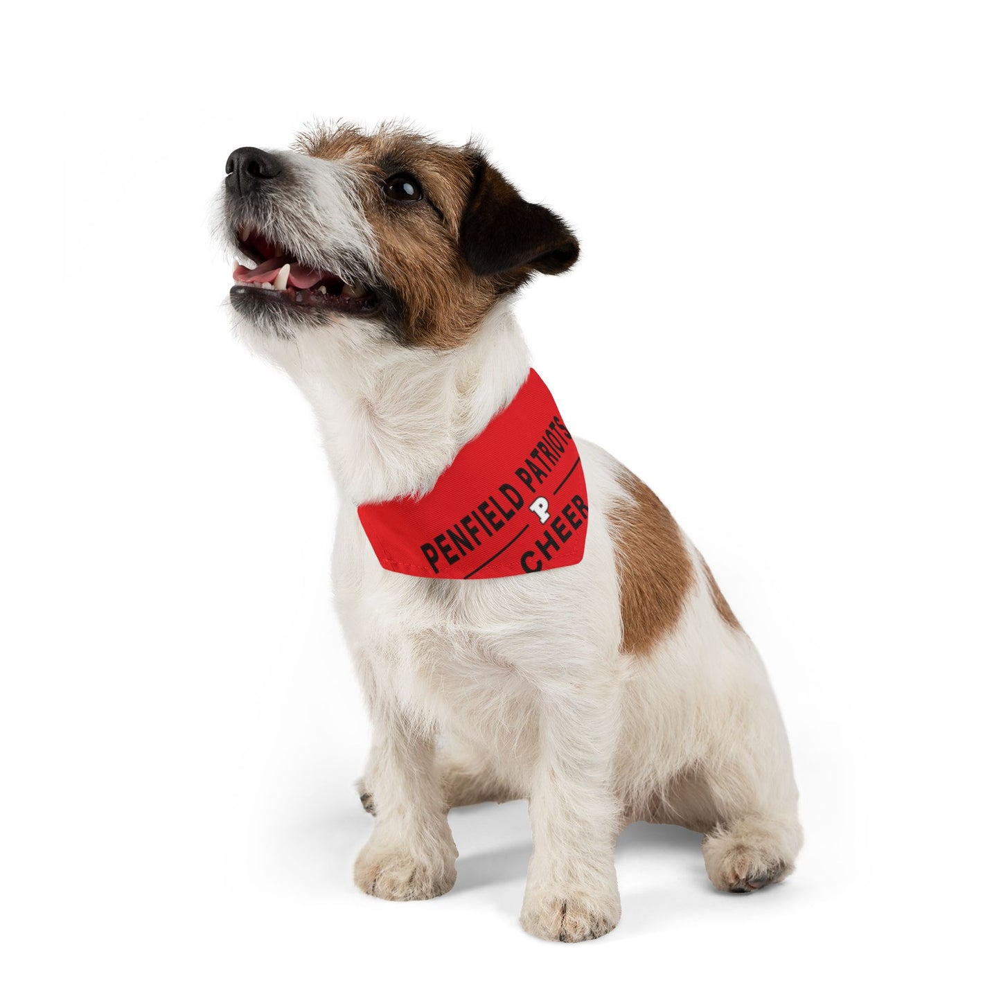 Cheer Dog Bandana Collar