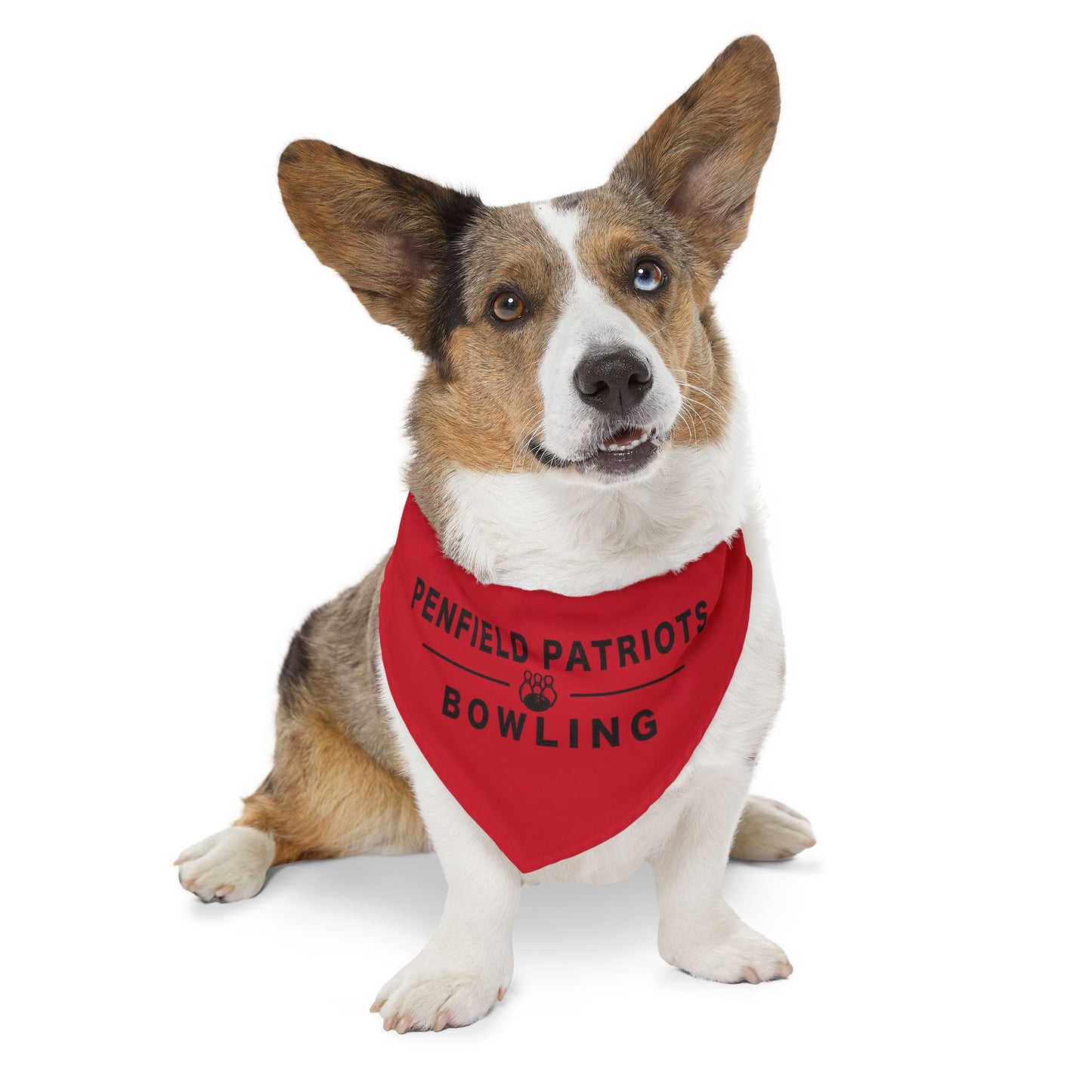 Bowling Pet Bandana Collar