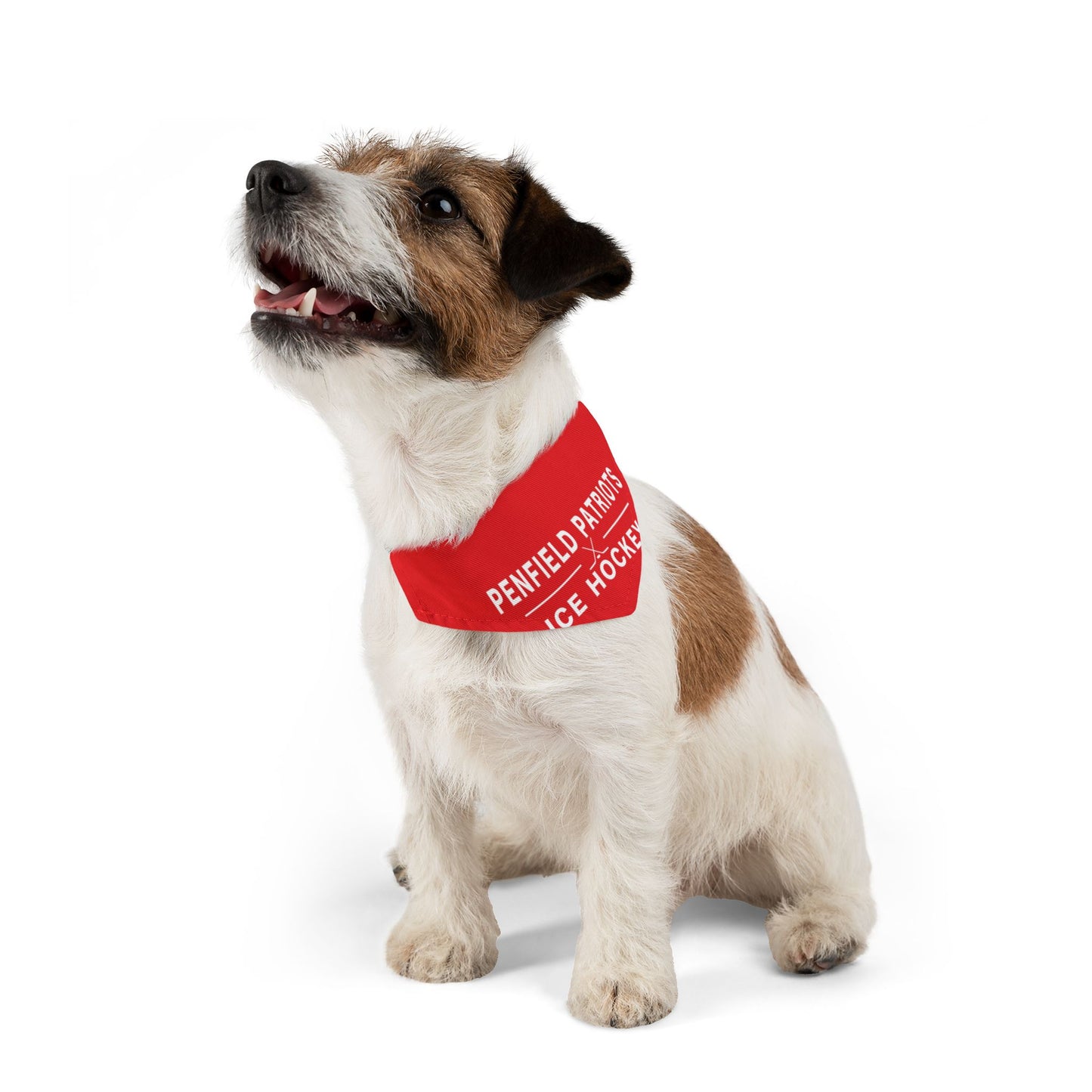 Ice Hockey Pet Bandana Collar