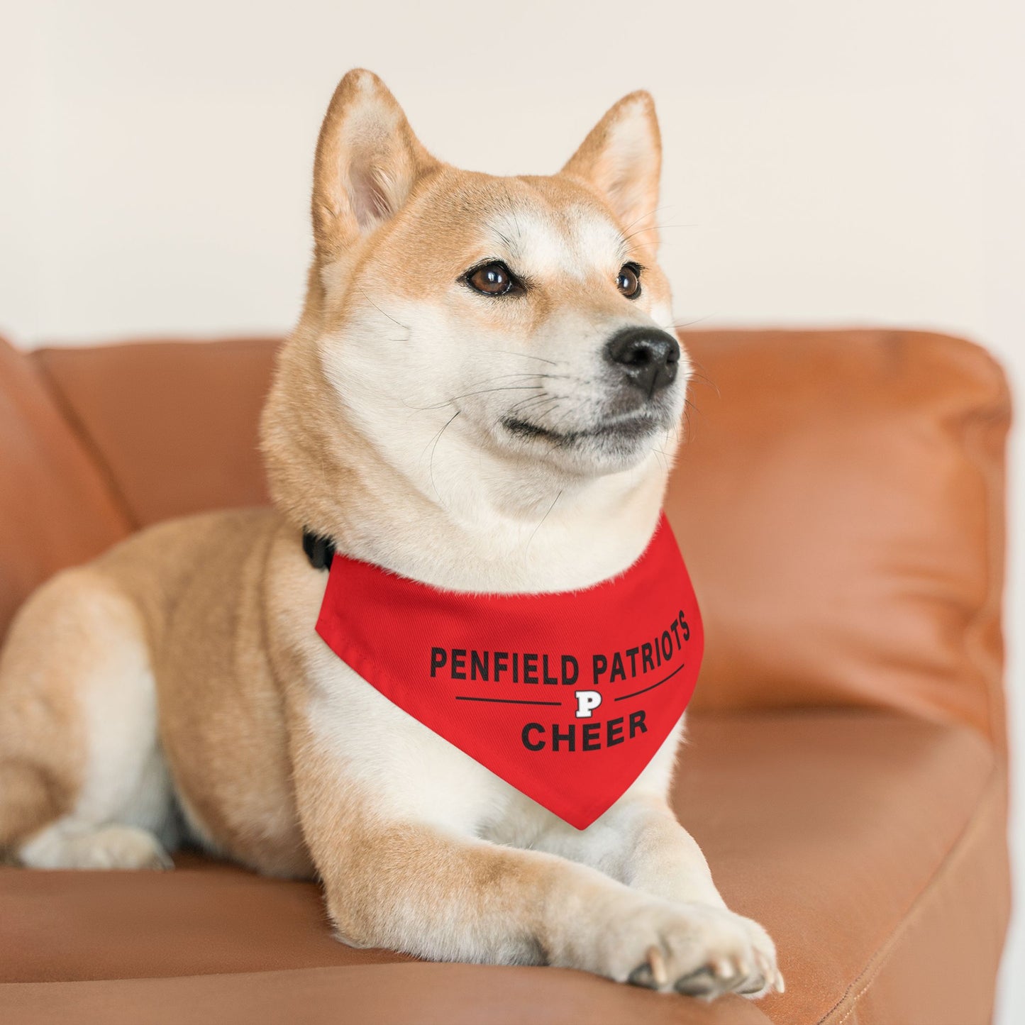 Cheer Dog Bandana Collar