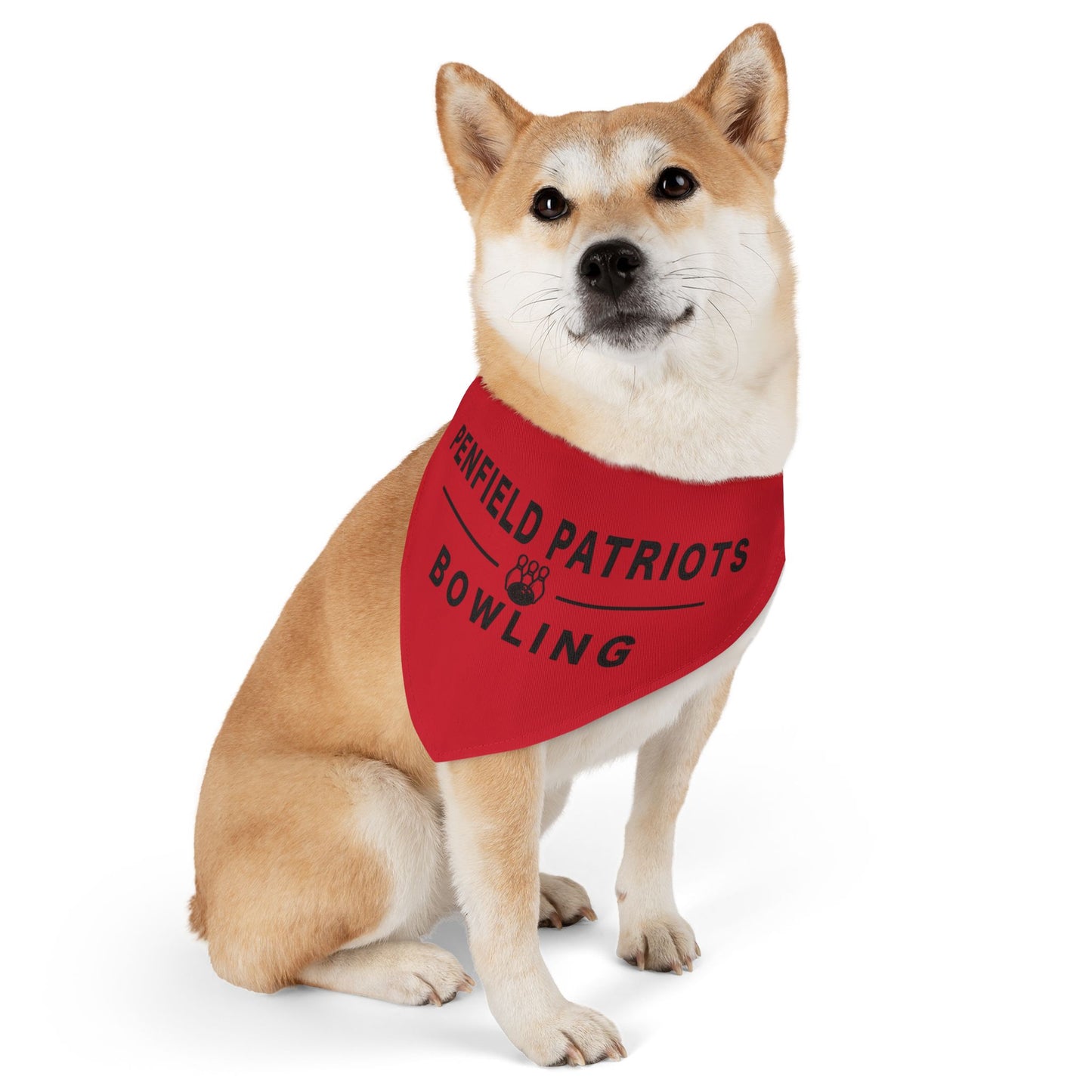 Bowling Pet Bandana Collar
