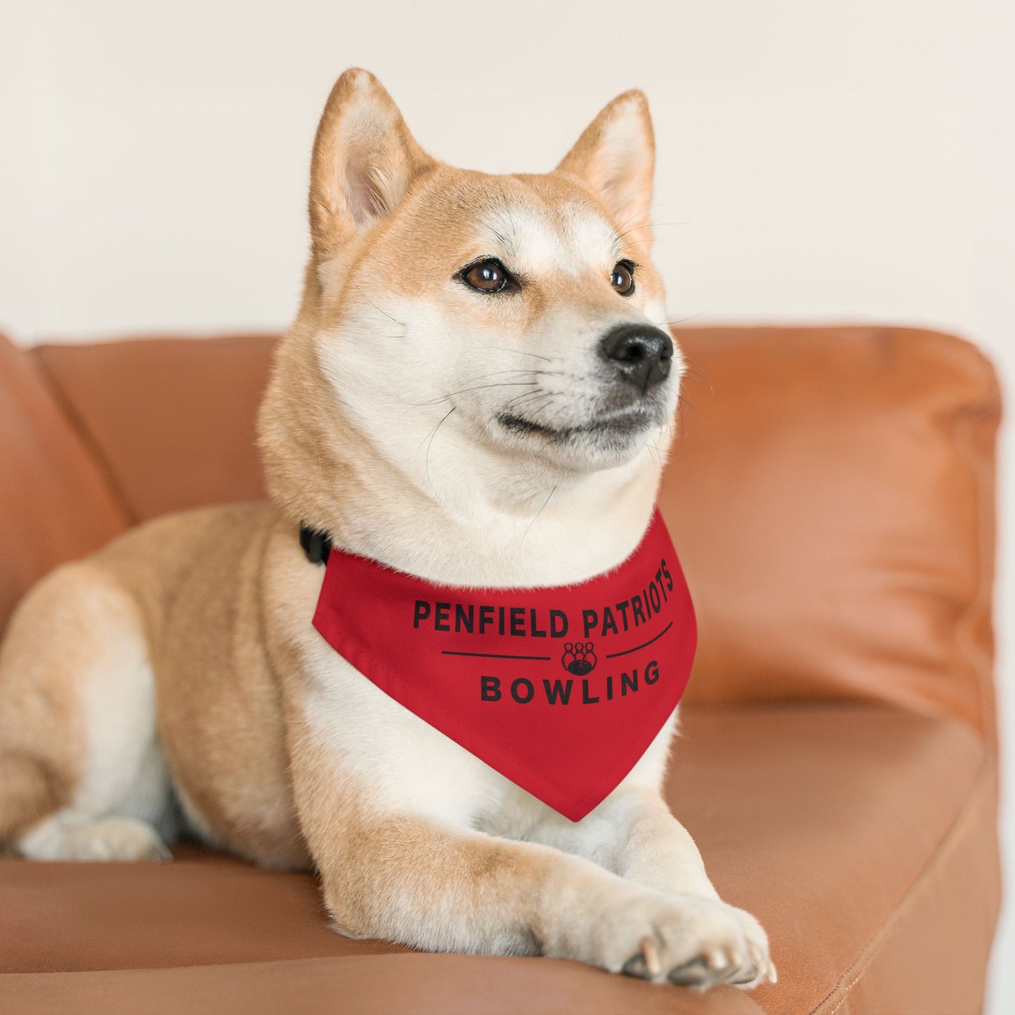 Bowling Pet Bandana Collar