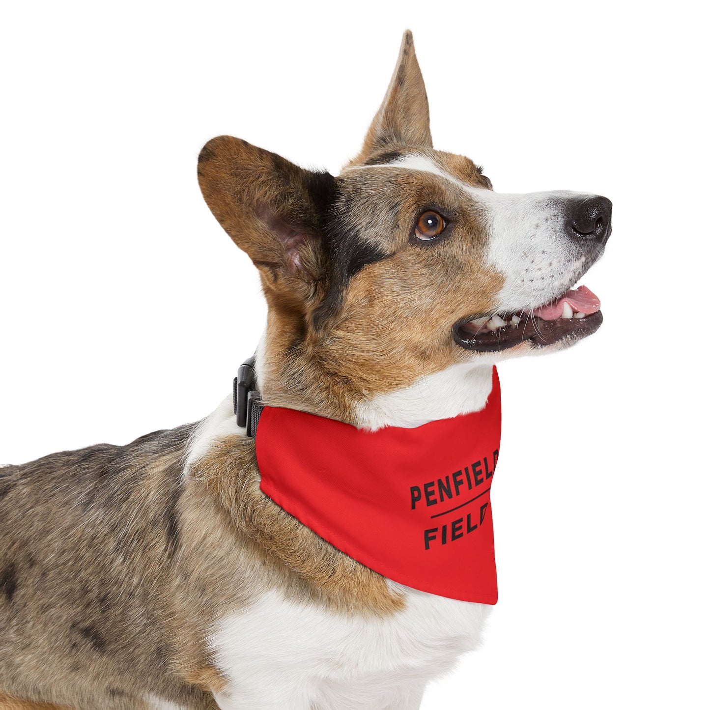 Field Hockey Pet Bandana Collar