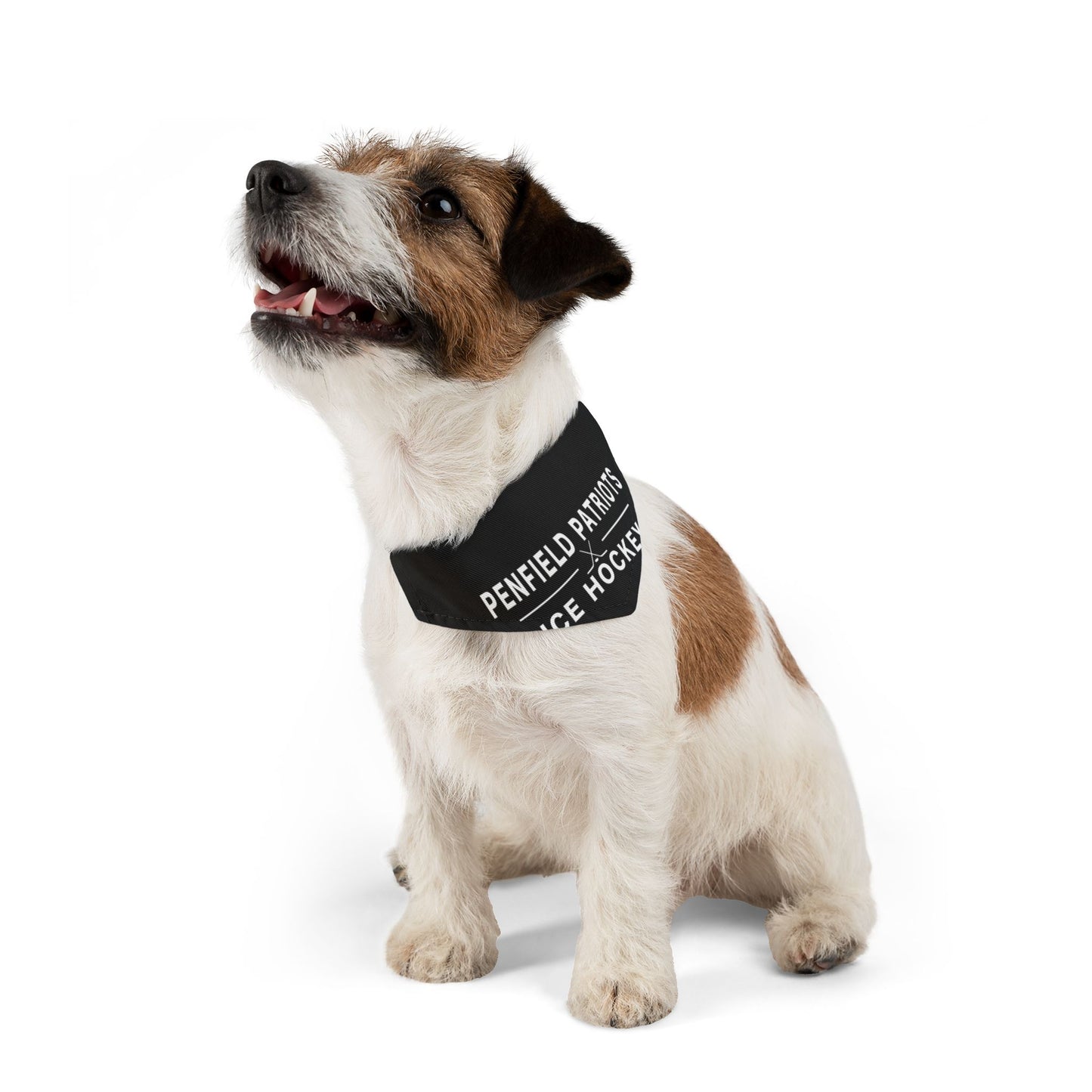 Ice Hockey Pet Bandana Collar