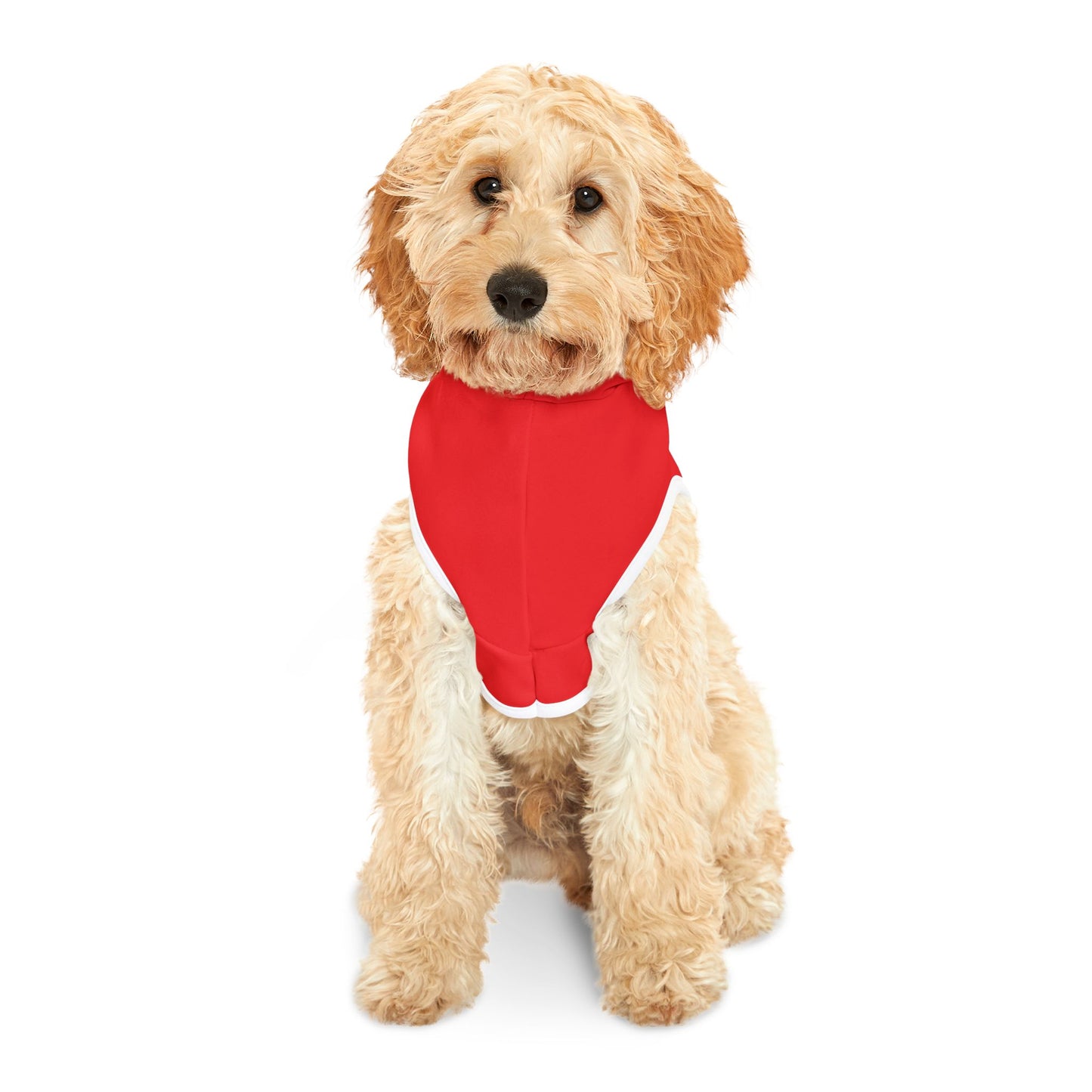 Nordic Skiing Pet Hoodie