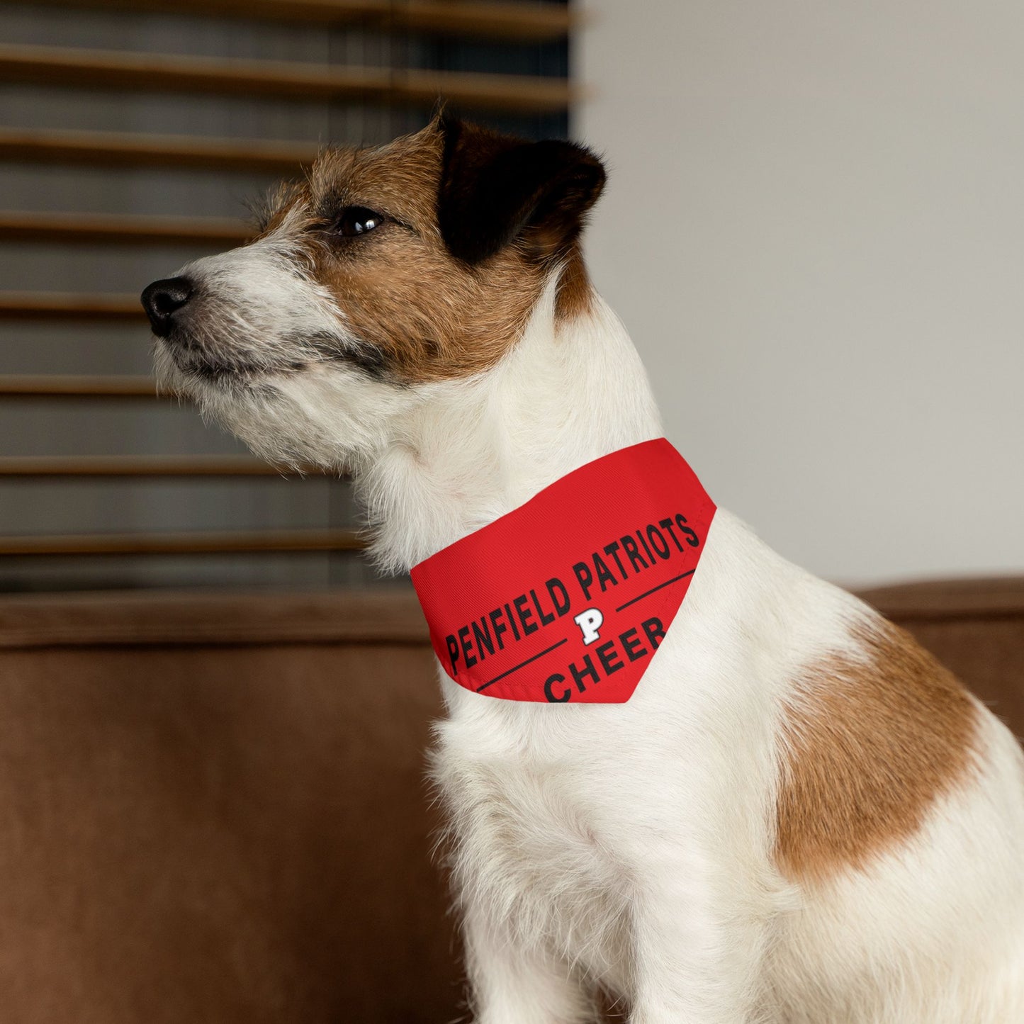 Cheer Dog Bandana Collar