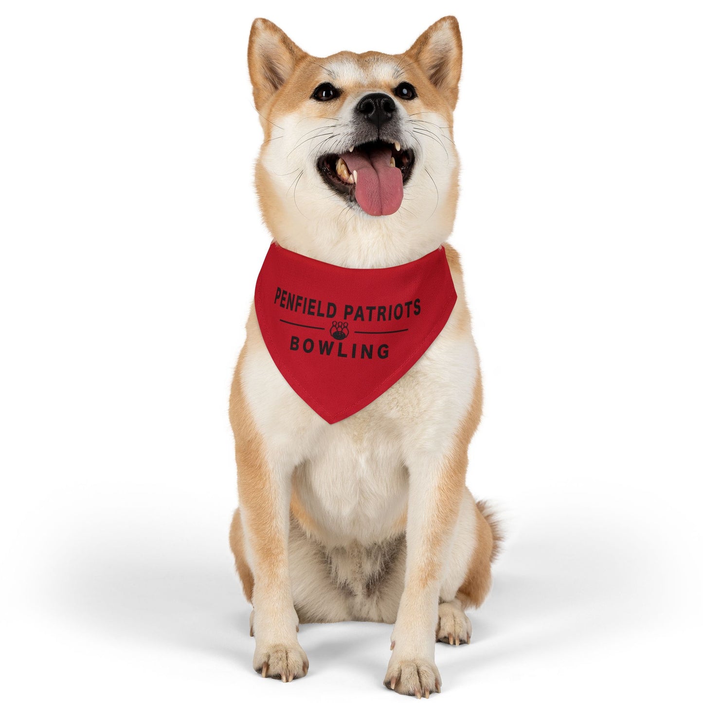 Bowling Pet Bandana Collar