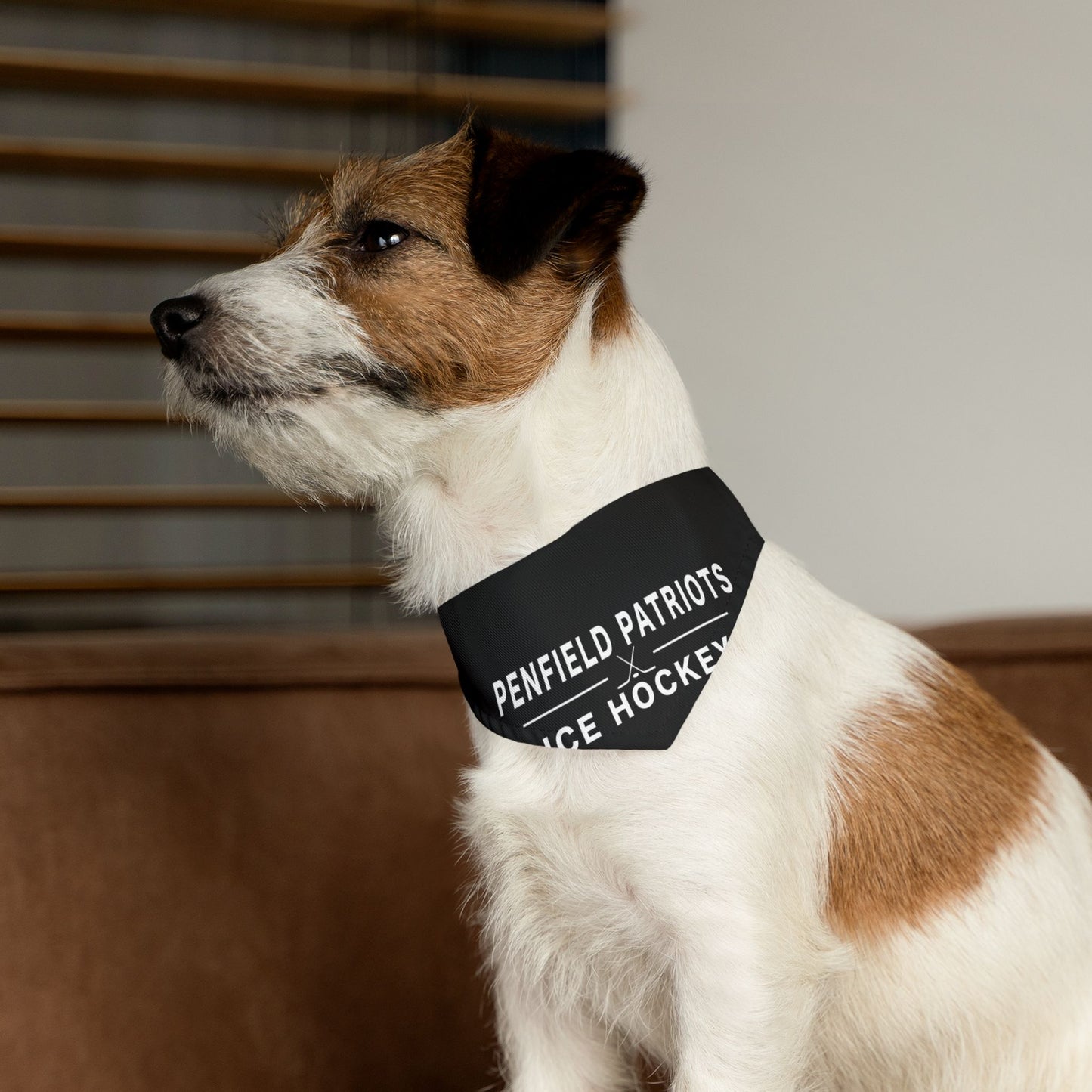 Ice Hockey Pet Bandana Collar