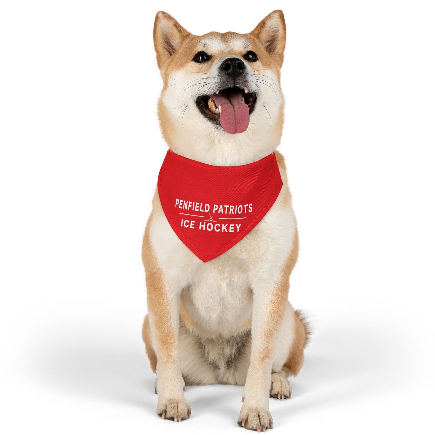 Ice Hockey Pet Bandana Collar