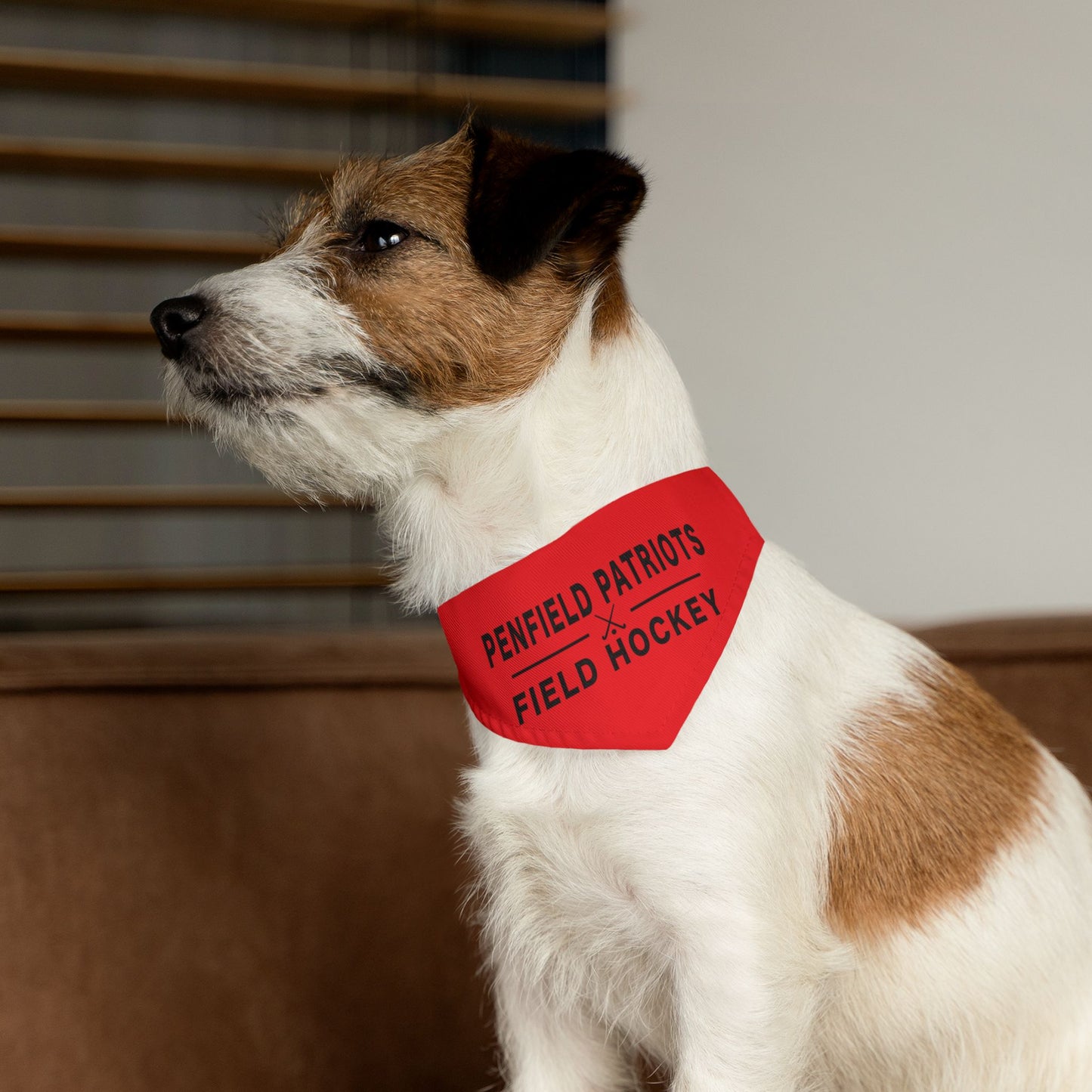 Field Hockey Pet Bandana Collar