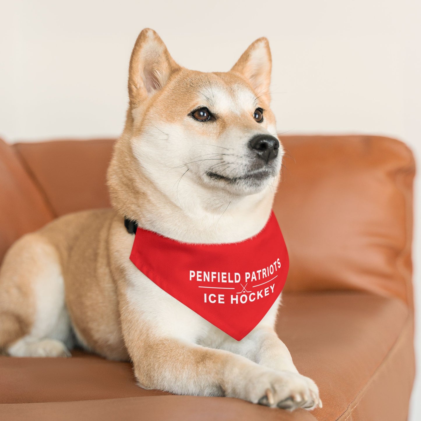 Ice Hockey Pet Bandana Collar