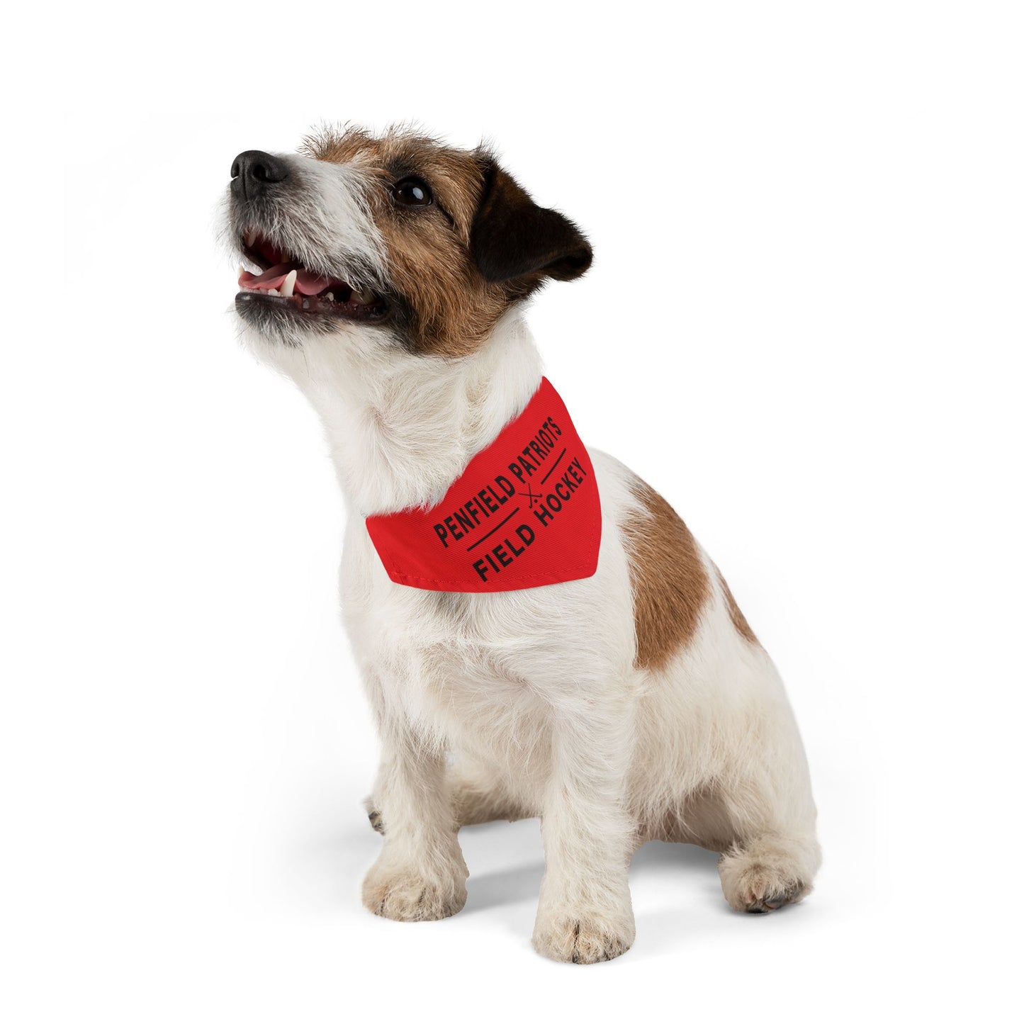 Field Hockey Pet Bandana Collar